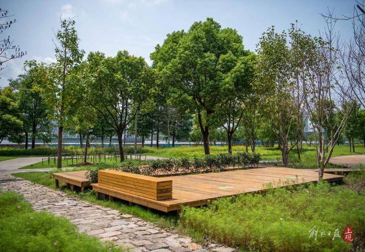 可容纳200多个帐篷上海黄浦江东岸帐篷营地免费开放